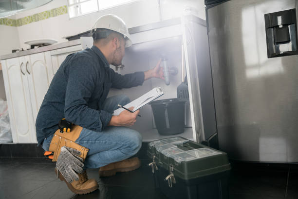Best Affordable Plumber Near Me  in Albion, NE