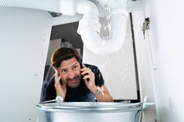 Best 24-Hour Plumber Near Me  in Albion, NE