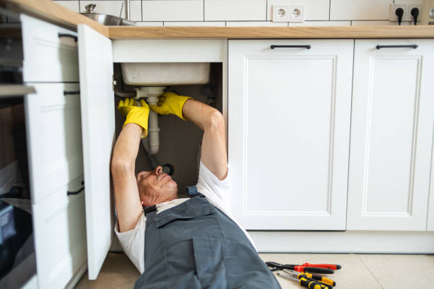  Albion, NE Plumbing Pros