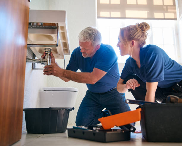 Best Clogged Drain Plumber  in Albion, NE