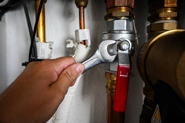 Best Leak Detection Services  in Albion, NE